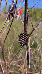 Similar image 22597525