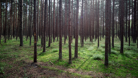 Similar image 22611560