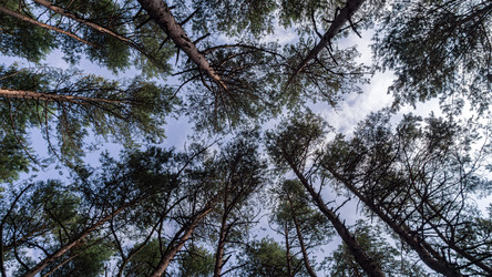 Similar image 22611561