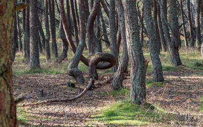 Similar image 22611563