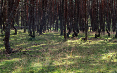 Similar image 22611564