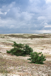 Similar image 22611565