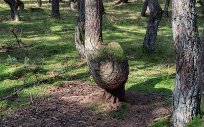 Similar image 22611566