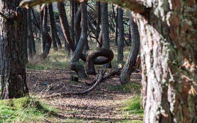 Similar image 22611567