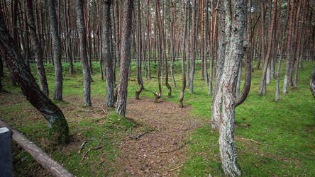 Similar image 22611568