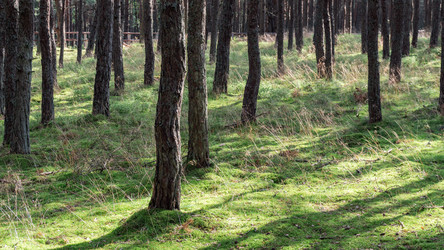 Similar image 22611569