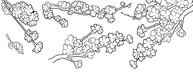 Similar image 22598883