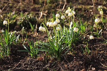 Similar image 22594946