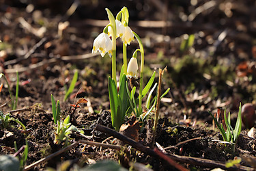 Similar image 22594953