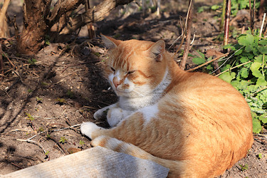 Similar image 22594954