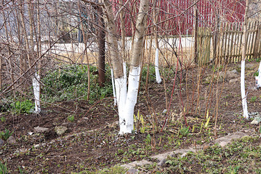 Similar image 22594955