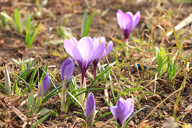 Similar image 22594956