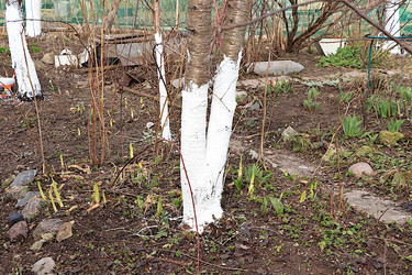 Similar image 22594957