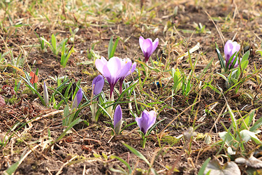 Similar image 22594958