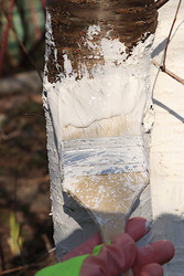 Similar image 22594960