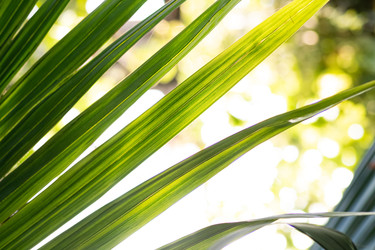 Similar image 22599403