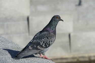 Similar image 22594903