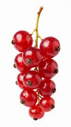 Similar image 22611270