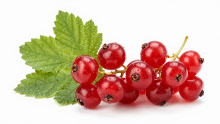 Similar image 22611434