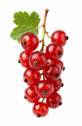 Similar image 22617292