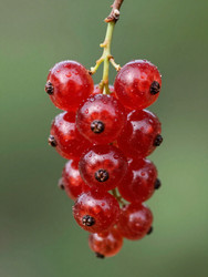 Similar image 22617479