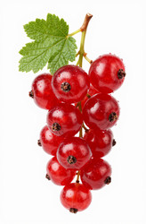 Similar image 22617899