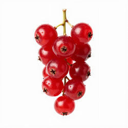 Similar image 22600276