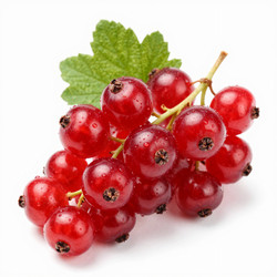 Similar image 22611013