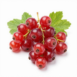 Similar image 22611089