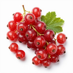 Similar image 22611104