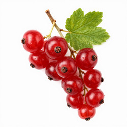 Similar image 22611164