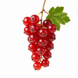 Similar image 22611208