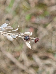 Similar image 22594914