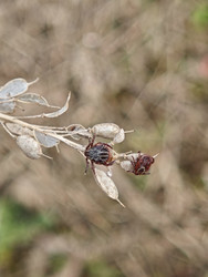 Similar image 22594915