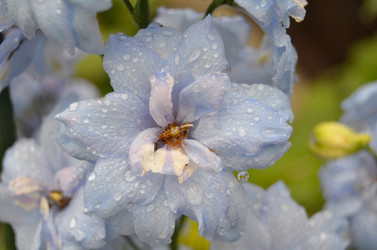 Similar image 22597070