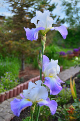 Similar image 22597074