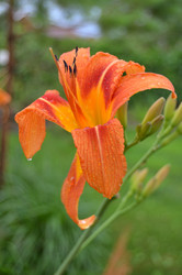 Similar image 22596904