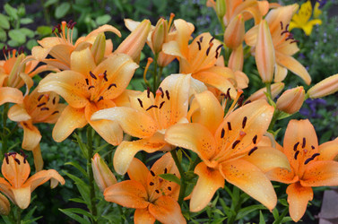 Similar image 22596905