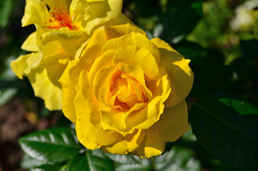 Similar image 22596906