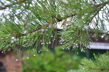 Similar image 22597076