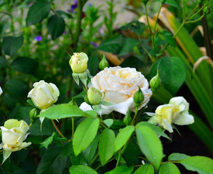 Similar image 22596913