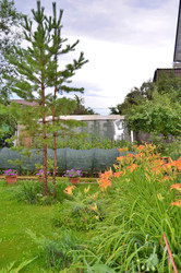 Similar image 22597077