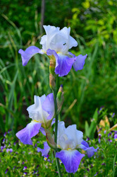 Similar image 22597078