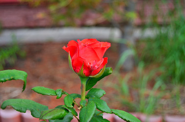 Similar image 22596915