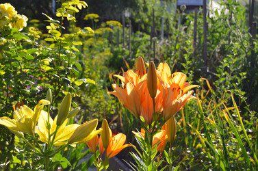 Similar image 22596917