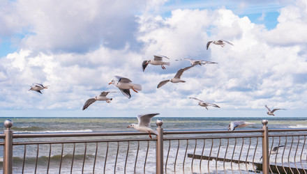 Similar image 22595256