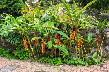 Similar image 22597491