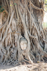 Similar image 22597493