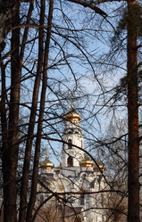 Similar image 22595270