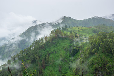 Similar image 22597499